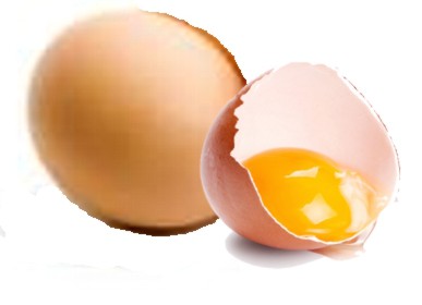 Cholestérol et œufs