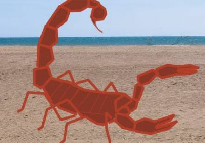 Piqûres ou morsures : danger!